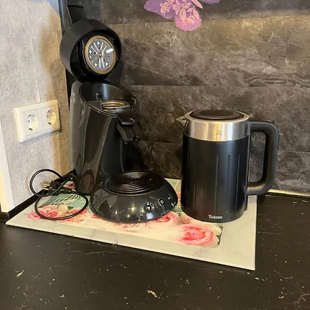 Viktera Modernes Mitten In Der Stadt Und Doch Sehr Ruhig Zu Therme 2 Minuten アパート バート・エムス