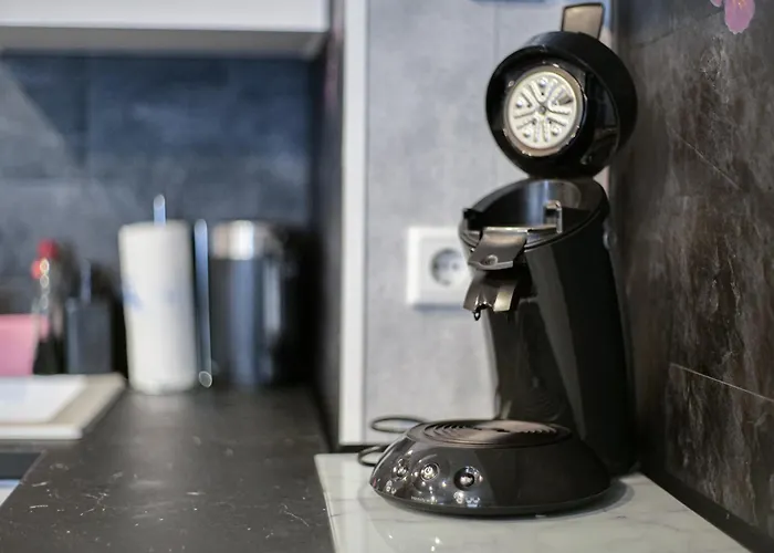 Viktera Modernes Mitten In Der Stadt Und Doch Sehr Ruhig Zu Therme 2 Minuten * 巴特埃姆斯