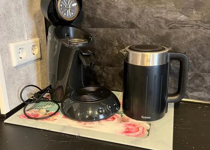 Viktera Modernes Mitten In Der Stadt Und Doch Sehr Ruhig Zu Therme 2 Minuten Apartmán Bad Ems